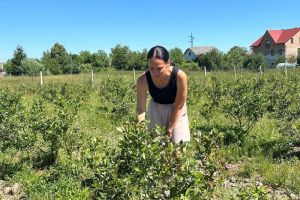 Анна Карпин на плантації лохини