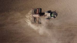 Сівба озимих