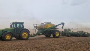 Сівба пшениці