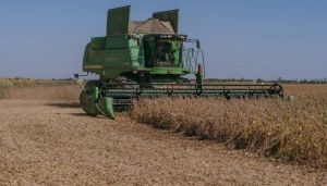 Збирання врожаю сої