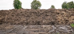 З 2026 року в Нідерландах буде встановлено ліміт 170 кілограмів азоту на гектар при внесенні гною