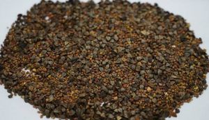 Гречка в сумішах сидератів — фахівці пояснили негативні фактори