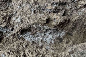 Кальцієві залежі в ґрунті на полях ФГ «Аннушка»