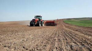 Сівба ріпаку