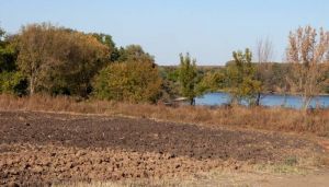 Оброблена земля (фото ілюстративне)