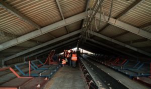 Комірки для сушки кукурудзи на третьому поверсі сушарки