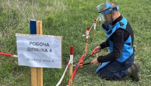 На Харківщині за 2025 рік розміновано понад 6 тисяч гектарів земель аграрного призначення