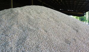 Урожай гороху