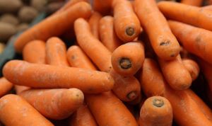 Валове виробництво овочів в сезоні 2025 зросте на понад 5% — аналітики