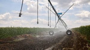 130,8 млн кубометрів води застосували цьогоріч для поливу 40,5 тис. га земель — Держрибагентство 