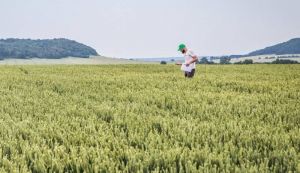 До 1000 га збільшено вимогу щодо площі оброблюваних земель для отримання статусу критичності та бронювання працівників 