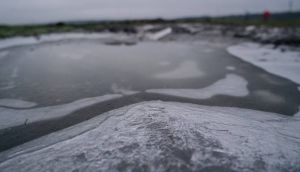 Експерт назвав можливі негативні фактори для озимих, спричинені сніговим покривом