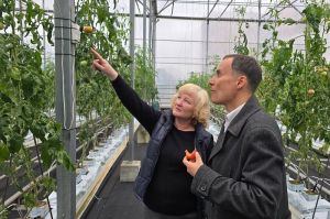 На Хмельниччині працюють над створенням робота для діагностики ураження тепличних рослин хворобами