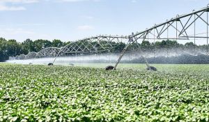 З 2022 року площа политих земель в Україні через війну скоротилась на 75%