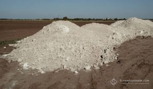 Чи має сенс весняне вапнування та які є обмеження для його проведення, розповіли аграріям