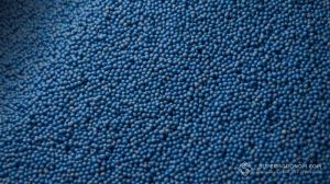 Як змінюється вибір культур і гібридів, та що сіяти у 2026 році, розповіли в Насіннєвій асоціації