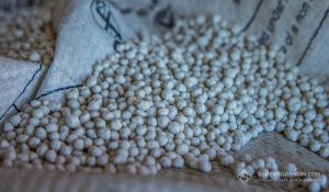 Застосування карбаміду з інгібітором уреази має обмеження та вимагає певних умов