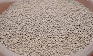 Дефіцит добрив загрожує втратою до 20% врожаю: аграрії закликають терміново відкрити імпорт вапняково-аміачної селітри