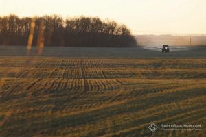 Озвучено ситуацію по добривах в Україні: виробництво аміачної селітри просіло, карбамід стає імпортним