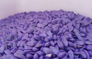 Обираючи сумнівне насіння, аграрій ризикує натрапити на фальсифікат без протруйника