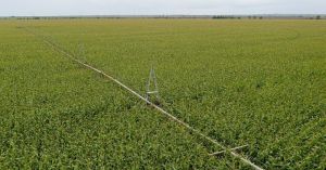 Італія інвестує в меліорацію Одещини 6 млн євро на реконструкцію ключових систем зрошення