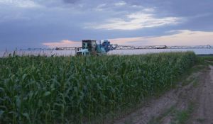 Заміна заборонених ЄС діючих речовин на альтернативні призведе до втрати врожайності — думка