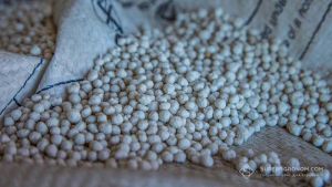 Імпортер добрив пояснив, що буде з цінами на добрива через блокування Ормузької протоки