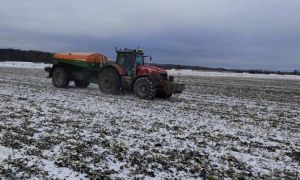 Аграрії Буковини вже підживили 50% площ озимих зернових і майже 65% ріпаку