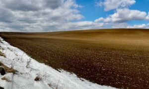 Через тривале збереження снігового покриву в Контінентал Фармерз Груп відтерміновують початок весняно-польових робіт