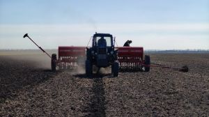 На Миколаївщині розпочали посівну ярих 2026 з гороху