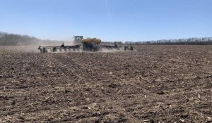 У 2026 році площі посівів конопель на Житомирщині можуть зрости до 2,5 тис. га