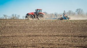 Агрохолдинги закупили добрива заздалегідь — нинішній стрибок цін їх не зачепив