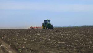 Посівні площі під гречкою у 2026 збільшиться на 15-20% завдяки зростанню цін — Висоцький