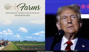 На тлі кризи агросектору та скорочення площ кукурудзи Трамп показав фермерам золотий трактор