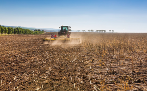  В господарстві на Сумщині зменшили кількість проходів техніки та покращили збереження вологи
