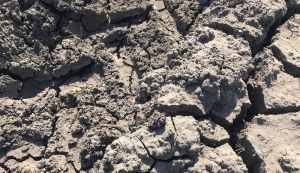 В Мінекономіки розповіли, як працюватиме механізм визначення зон ризикованого землеробства