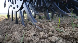 Посівна 2026 у Куп’янському районі Харківщини проходить з ризиками та на замінованих площах