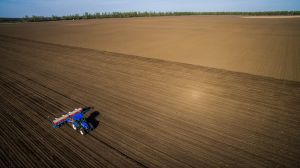 Витрати на посівну в Україні коливаються від 25 000 до 40 000 грн/га