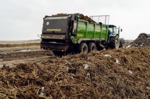 Внесення гною