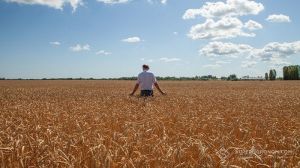 Зарплати в сільському господарстві зростають: лідирують агрономи та механізатори