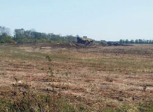 У Миколаївській області агронома судитимуть за знищення скіфського кургану