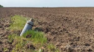 Нова підтримка для аграріїв прифронтових регіонів, зокрема компенсації та пільги, готується урядом