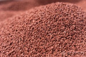 Термін доставки добрив протягом  2–3 тижнів сьогодні нереальний — САНАГРО УКРАЇНА