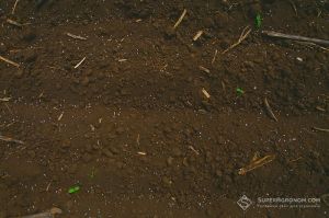 Мінеральне добриво