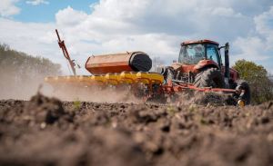 Сівба соняшнику (фото ілюстративне)