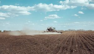 Кукурудзою та соняшником уже засіяно близько третини від запланованих на 2026 рік площ