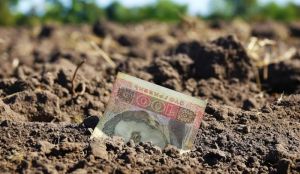 EBITDA у 2025 році оцінюється на рівні $410/га — Agrohub