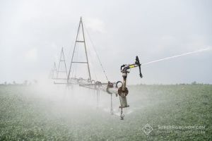 Кліматичні зміни змушують аграріїв північних регіонів впроваджувати зрошення: в якому стані наразі системи меліорації