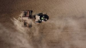 В Чернівецькій області аграрії переважно сіють соняшник, проте вже є проблеми з вологою