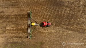 Посівна 2026 ярих культур: на Київщині зменшили площі під цукровими буряками та збільшили під гречкою і просом